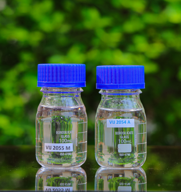 Cycloaliphatic & Aliphatic Amines